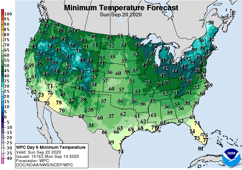 Minimum Temperature Forecast